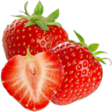 Quick Nutrient Analysisin StrawberryProduction image-01