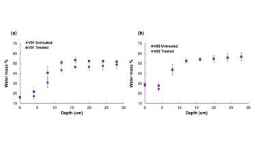 Hydration Effect of Moisturizing Cream on Stratum Corneum Thickness using IN VIVO RAMAN ANALYZER RZ-660