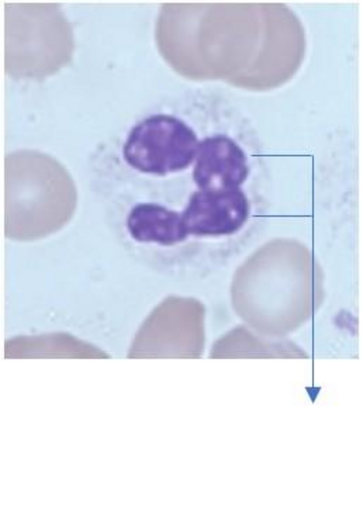 Case_study_cell_3 Case_study_cell_3