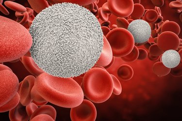 HORIBA hematology 