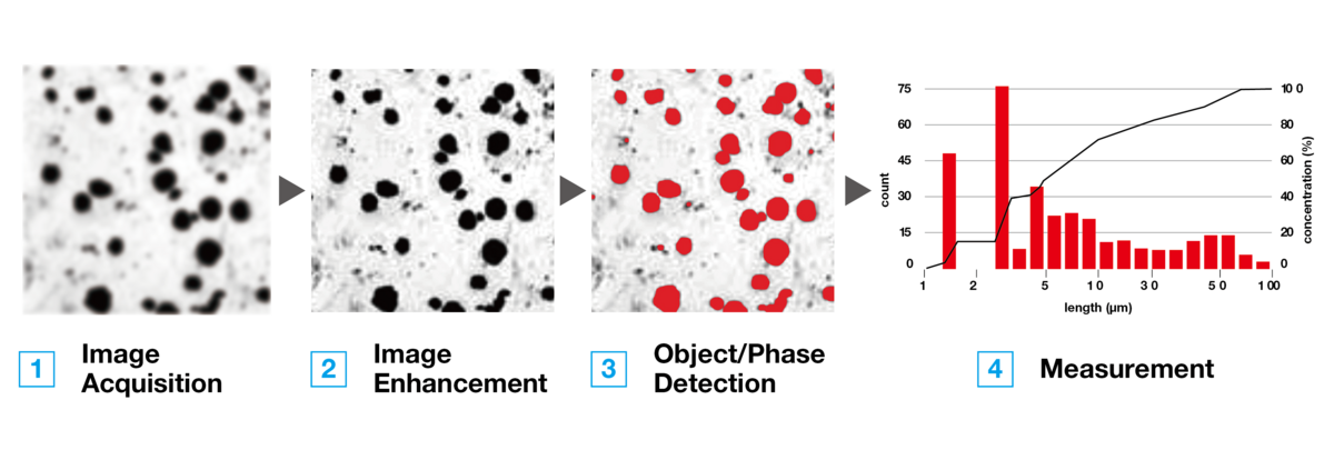 Typical work flow for Particle Image Analysis