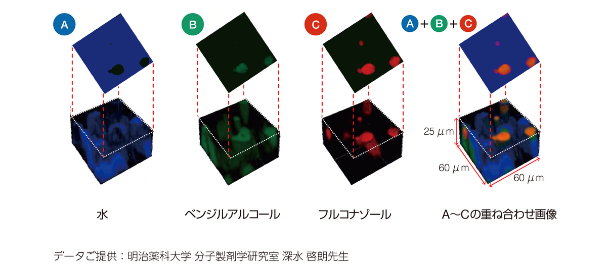 データご提供：明治薬科大学 分子製剤学研究室 深水 啓朗先生
