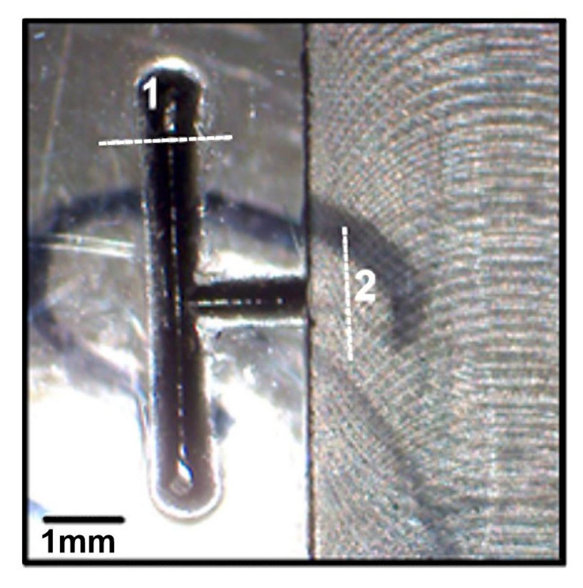 Magnified etched polymer “H” with obliterated right side under magnification