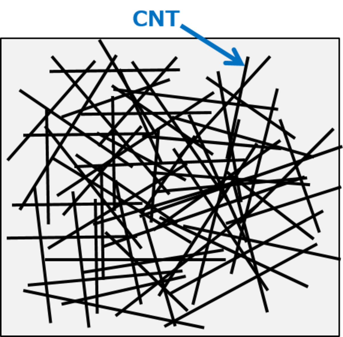 図2　CNTネットワーク