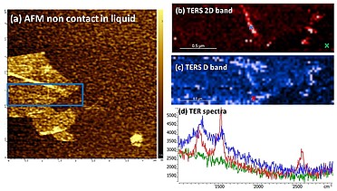 AFM-TERS measurements in a liquid environment with side illumination/collection