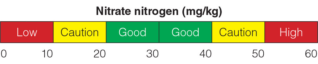 how to calculate ppm for nitrate