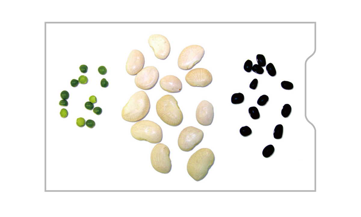 各サイズ13 個の豆