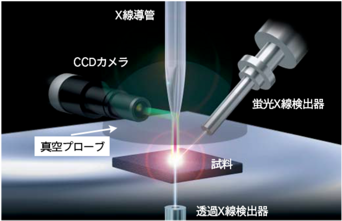 X線分析顕微鏡(XGT)を用いた生きた植物の元素分布測定 - HORIBA