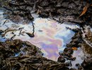 Petroleum and Oil Spill Products