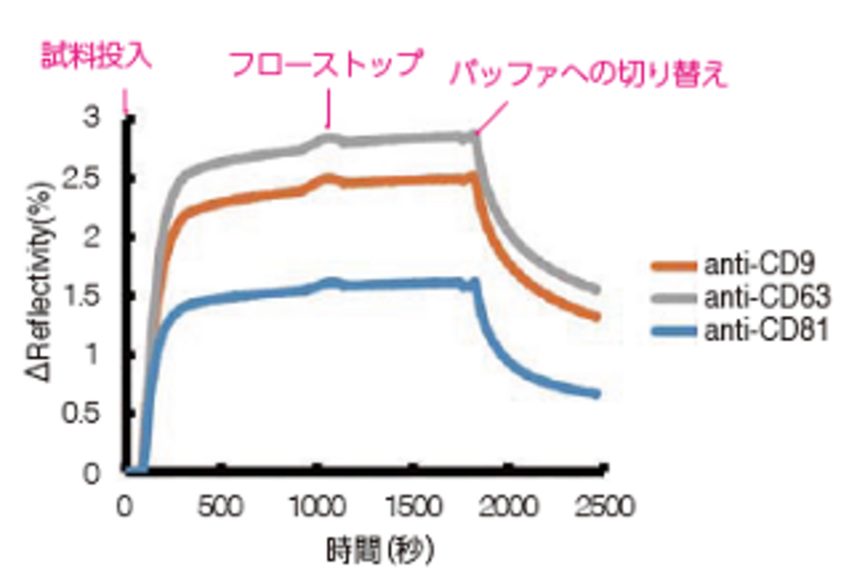図1. エクソソームの表面抗原に特異的な 抗体のカイネティックスカーブ