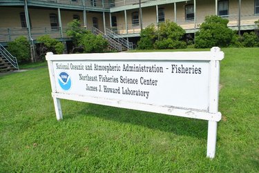 Microplastics are turning up everywhere. Microplastics in water, microplastics in the ocean. 