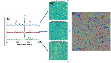 Raman Hyperspectral Imaging: An essential tool in the pharmaceutical field