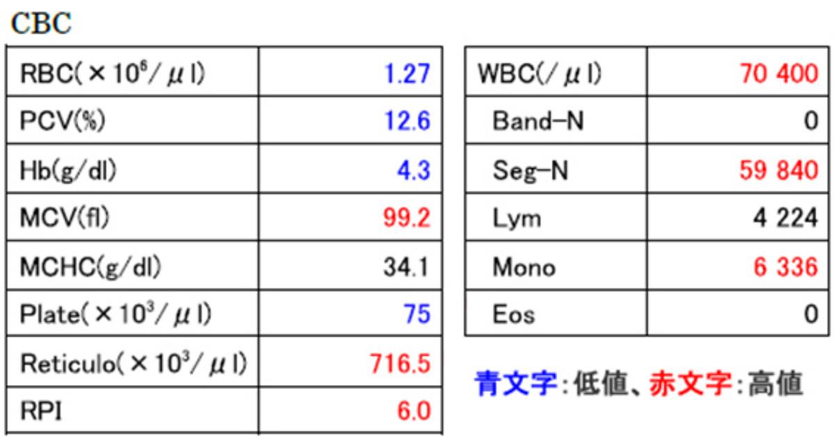 試験の準備はどのようにすればよいですか?