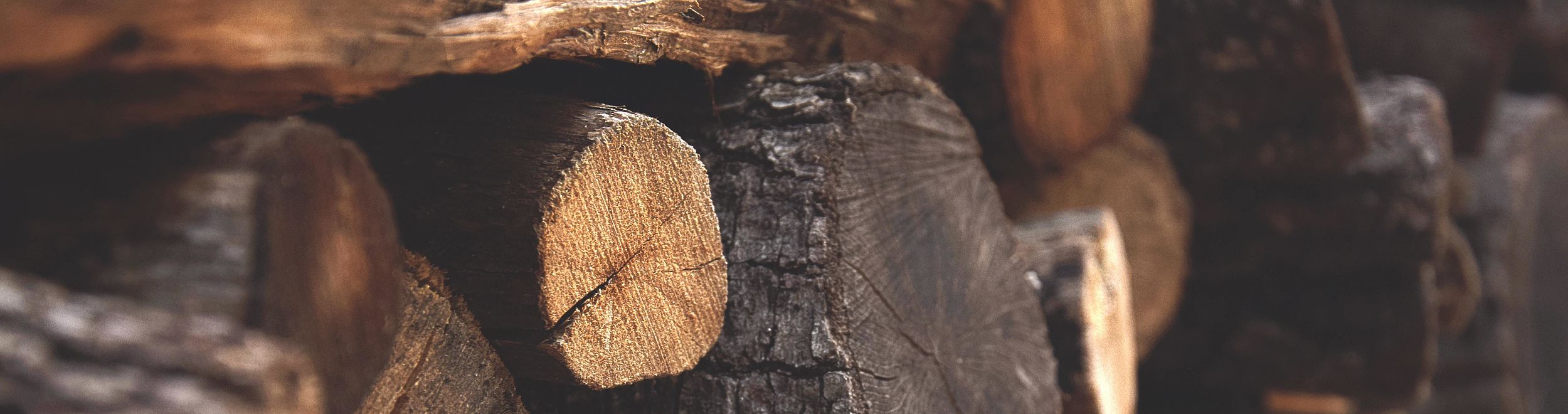 Paper, Forest Products and Manufacturing HORIBA