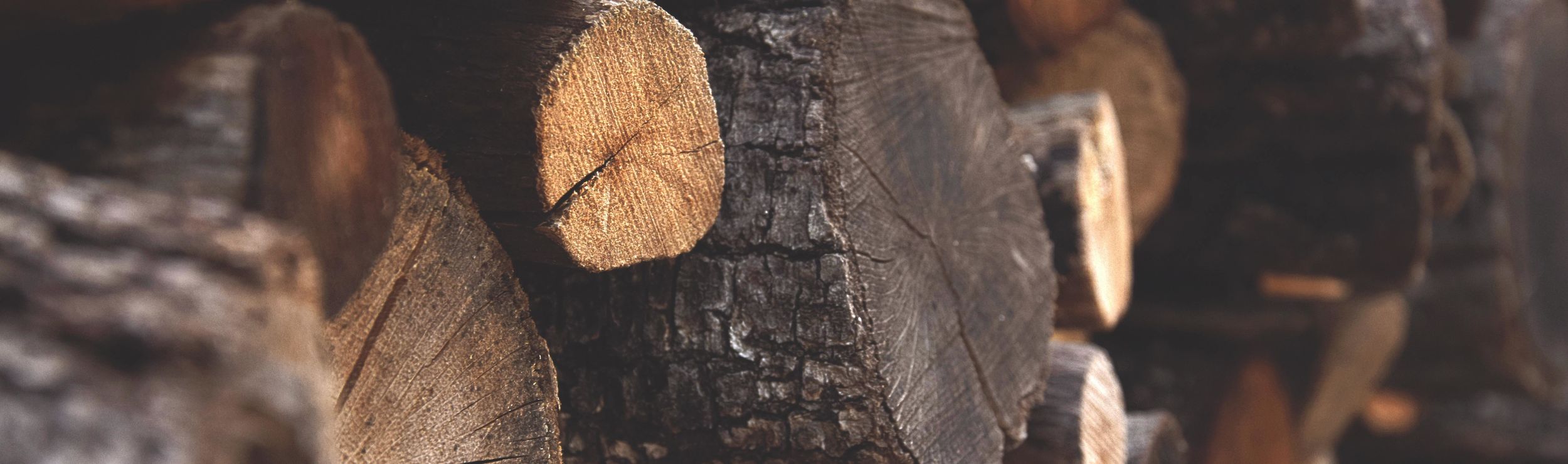 Paper, Forest Products and Manufacturing HORIBA