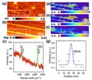 TERS Characterization of Graphene Nanoribbons
