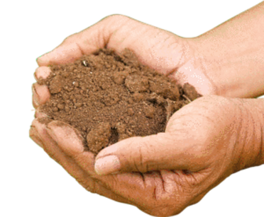 Soil pH and Nutrient Availability-01