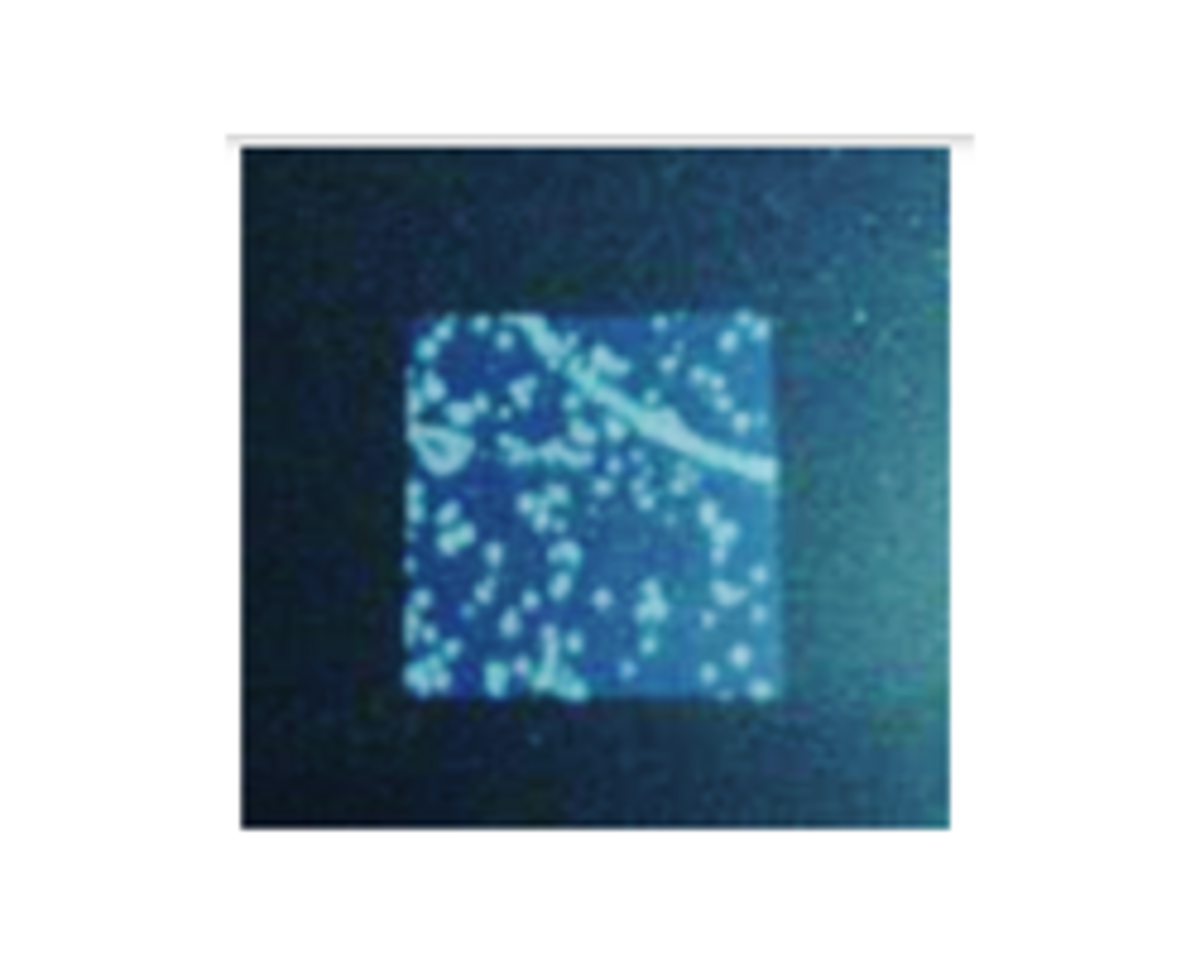 図3　サンプルの外観（8/22）