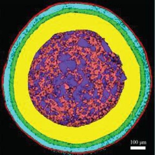Analysis of Coating Differences between RLD and Generic Pellets with Raman Spectroscopy