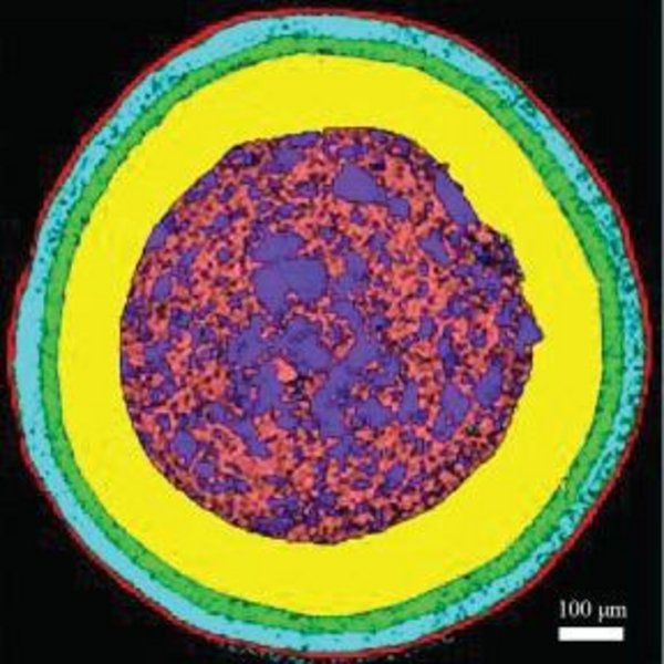 Analysis of Coating Differences between RLD and Generic Pellets with Raman Spectroscopy