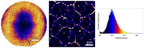 2D Materials
