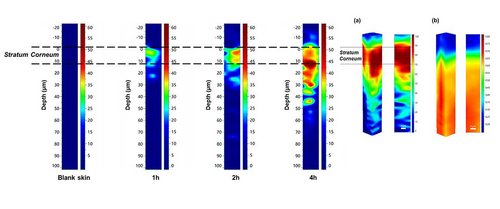 In Vivo Raman Study of Retinol Skin Penetration for Anti-Aging Applications
