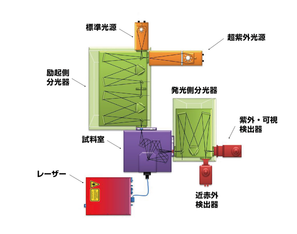蛍光分光測定装置構成例