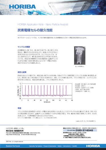 炭素電極セルの耐久性能