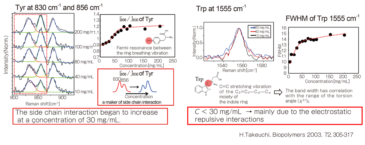 抗体の凝集過程評価