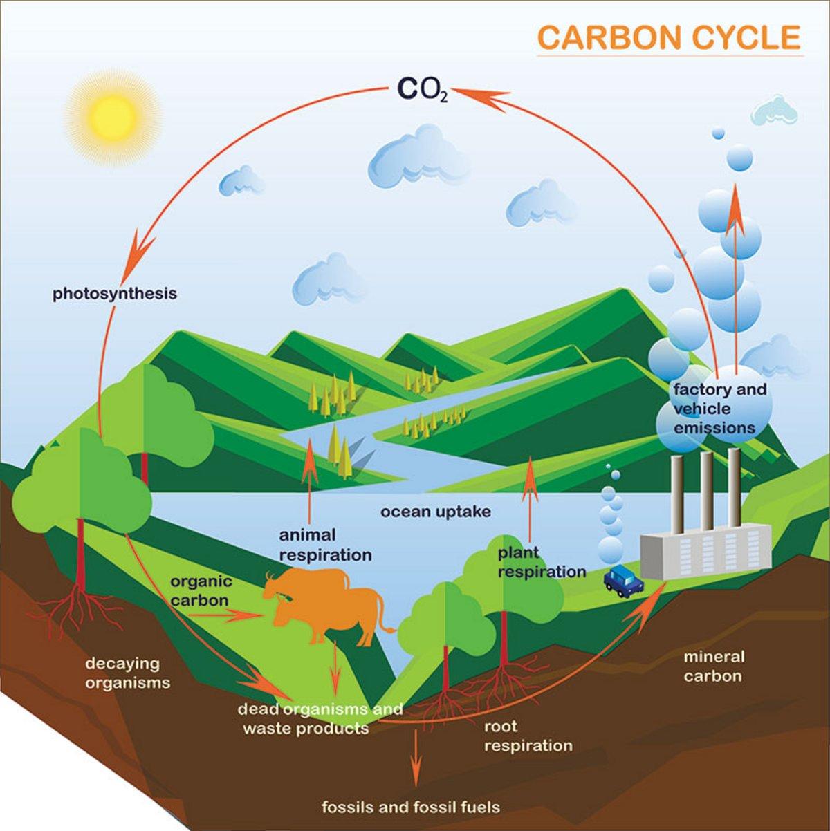 fluorescence-spectroscopy-exposes-carbon-cycle-changes-horiba