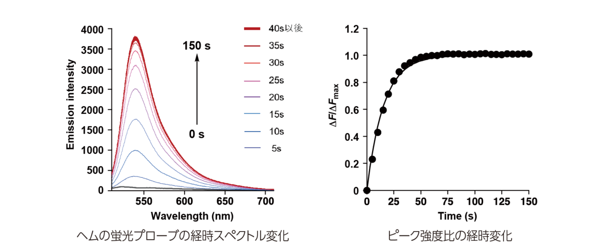 蛍光プローブのスペクトル評価