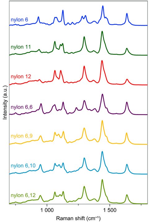 Rapid Polymer Identification of Fishing Gear Using Raman Spectroscopy