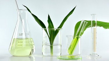 Cosmetics