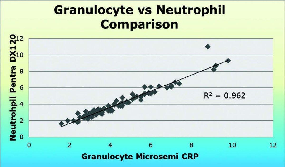 Granulocyte vs Neutrophil Comparison