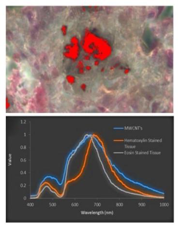 Application note - Multimodal Hyperspectral Imaging for Nanotoxicological Applications