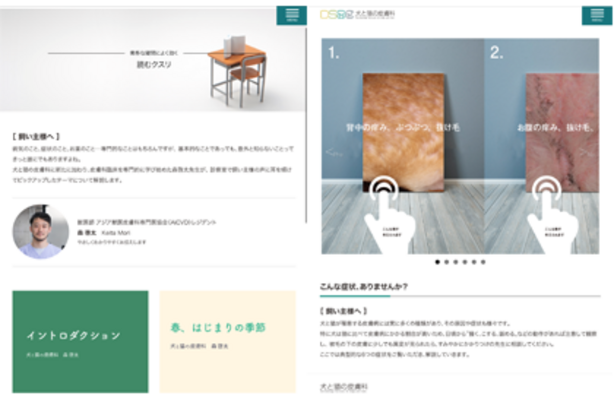 獣医師様、オーナー様に寄り添ったホームページは見やすく、 読みごたえがあります！(https://animal-skin.jp/)
