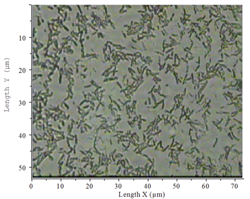 XploRA ONE™ Raman Microscope from Horiba - Product Description and Details